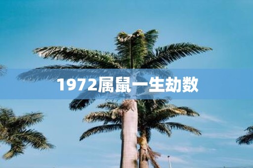1972属鼠一生劫数