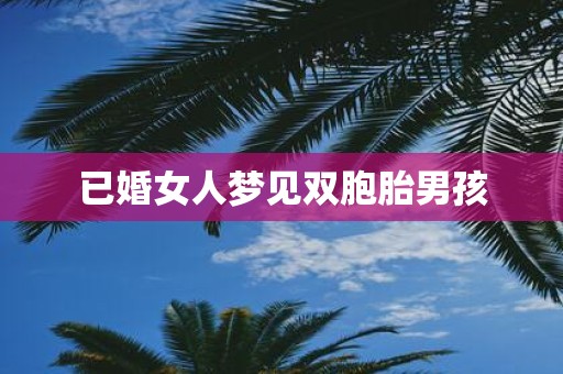 已婚女人梦见双胞胎男孩