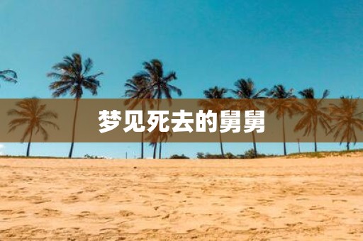 梦见死去的舅舅