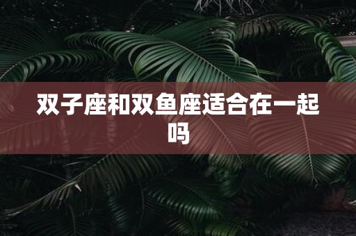 双子座和双鱼座适合在一起吗