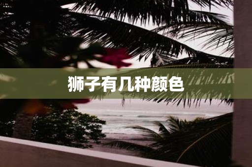 狮子有几种颜色