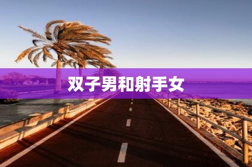 双子男和射手女