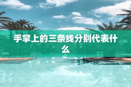 手掌上的三条线分别代表什么
