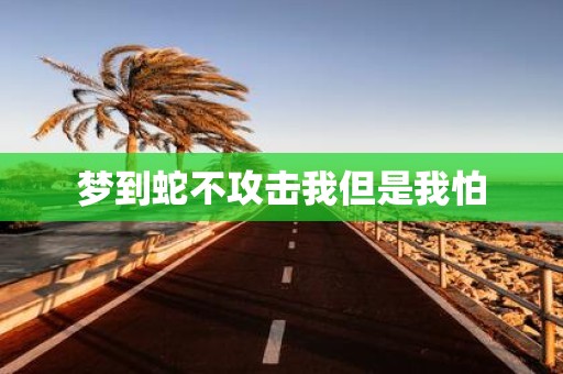 梦到蛇不攻击我但是我怕