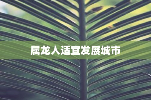 属龙人适宜发展城市