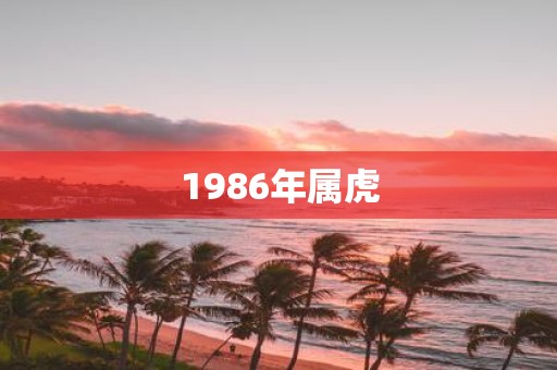 1986年属虎