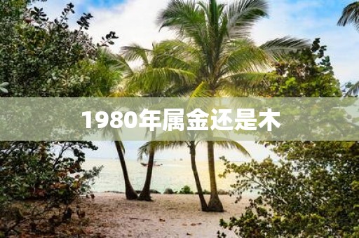 1980年属金还是木