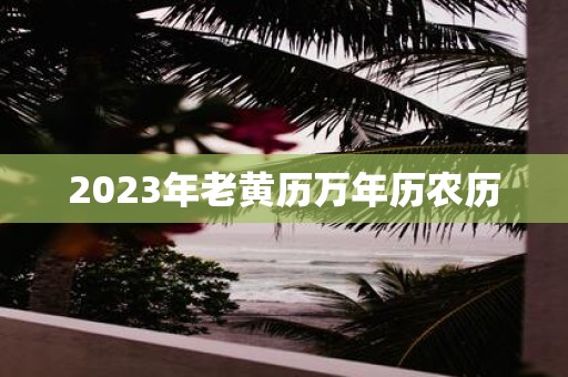 2025年老黄历万年历农历