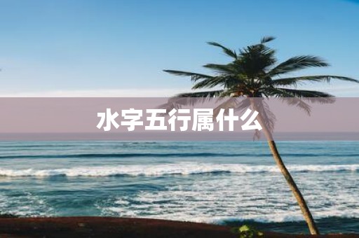 水字五行属什么