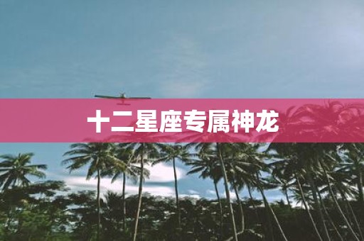 十二星座专属神龙