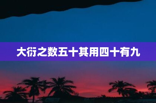 大衍之数五十其用四十有九