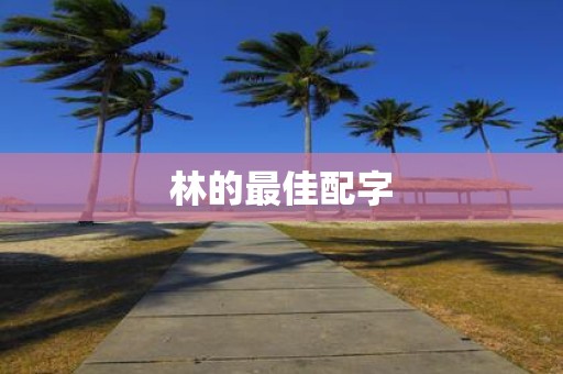 林的最佳配字