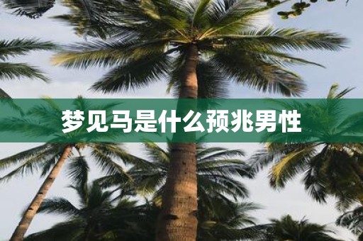 梦见马是什么预兆男性