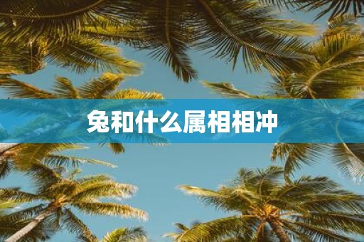 兔和什么属相相冲