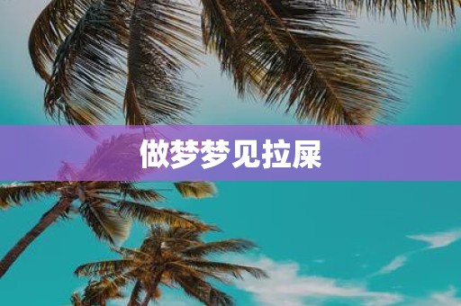 做梦梦见拉屎