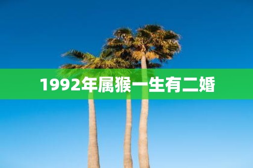 1992年属猴一生有二婚