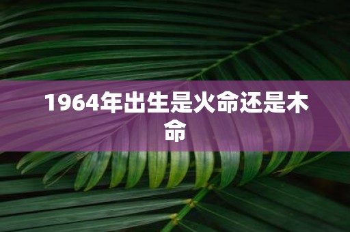 1964年出生是火命还是木命