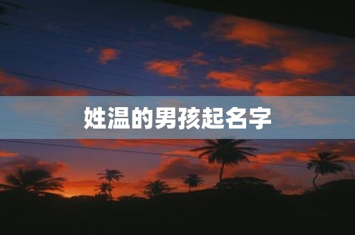 姓温的男孩起名字