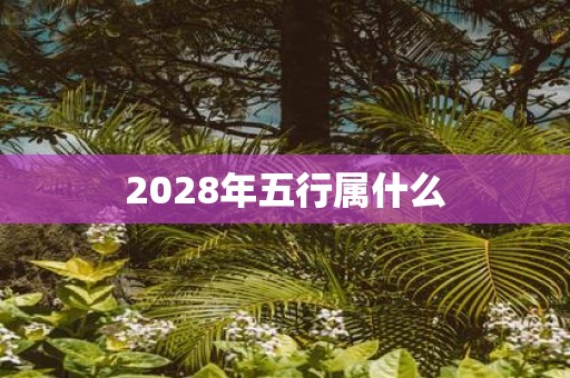 2028年五行属什么