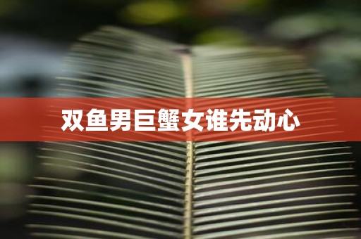 双鱼男巨蟹女谁先动心