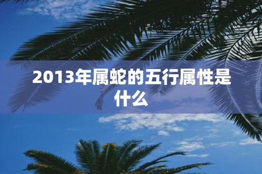 2013年属蛇的五行属性是什么