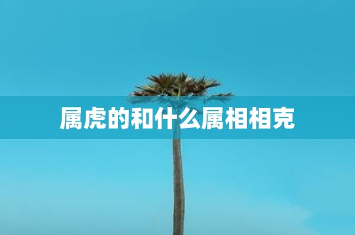 属虎的和什么属相相克