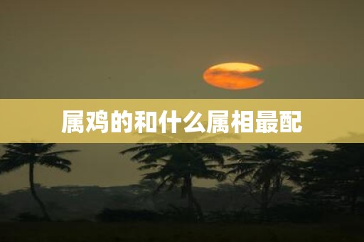属鸡的和什么属相最配