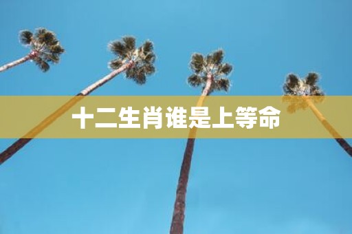 十二生肖谁是上等命