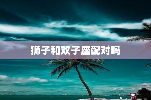 狮子和双子座配对吗