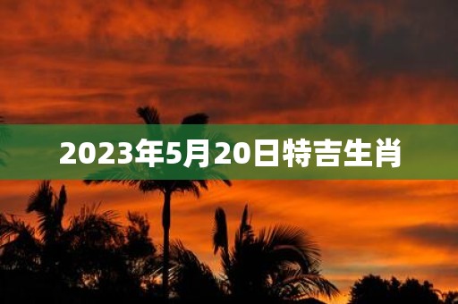 2025年5月20日特吉生肖
