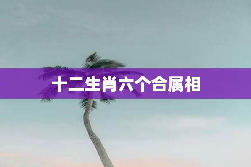 十二生肖六个合属相