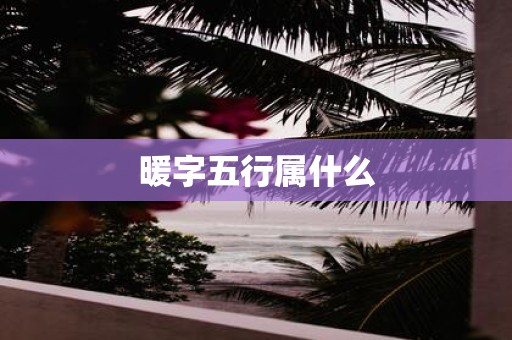 暖字五行属什么
