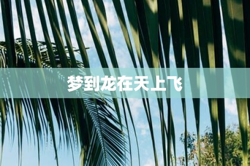 梦到龙在天上飞