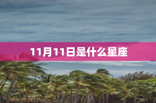 11月11日是什么星座
