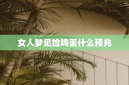 女人梦见捡鸡蛋什么预兆