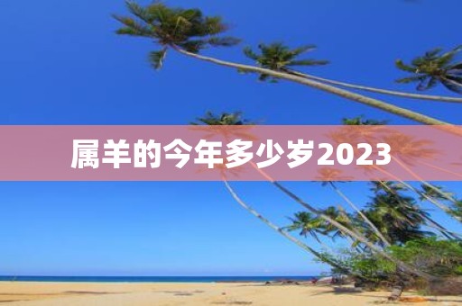属羊的今年多少岁2025