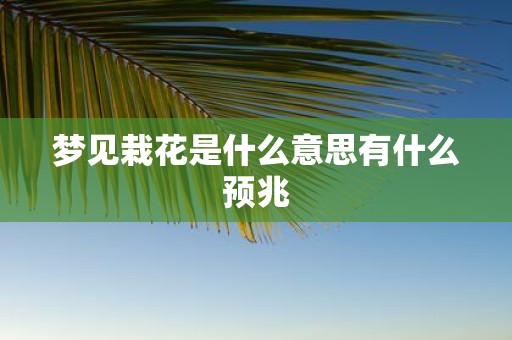 梦见栽花是什么意思有什么预兆