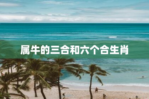 属牛的三合和六个合生肖