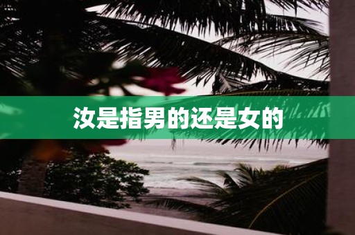 汝是指男的还是女的