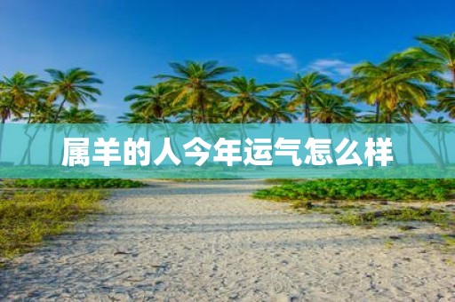 属羊的人今年运气怎么样