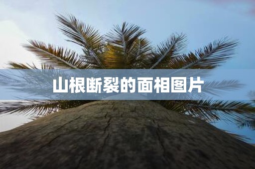 山根断裂的面相图片