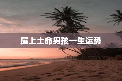 屋上土命男孩一生运势