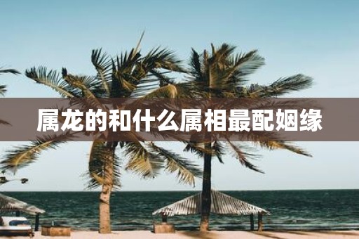 属龙的和什么属相最配姻缘