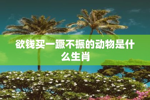 欲钱买一蹶不振的动物是什么生肖