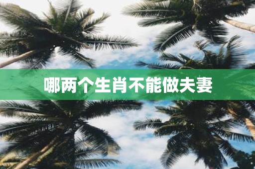 哪两个生肖不能做夫妻