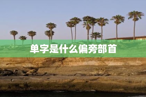 单字是什么偏旁部首