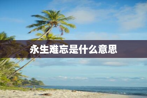 永生难忘是什么意思