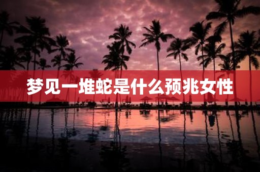 梦见一堆蛇是什么预兆女性
