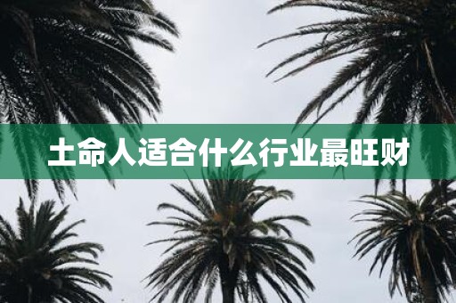 土命人适合什么行业最旺财