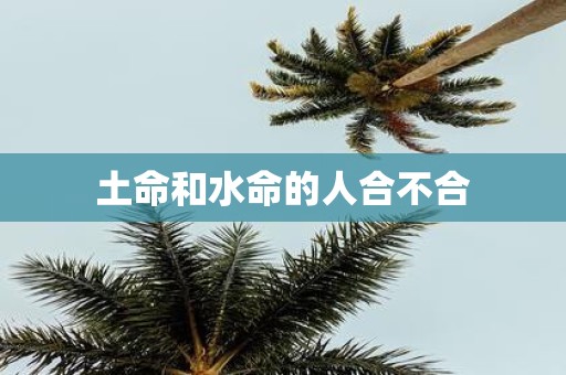 土命和水命的人合不合